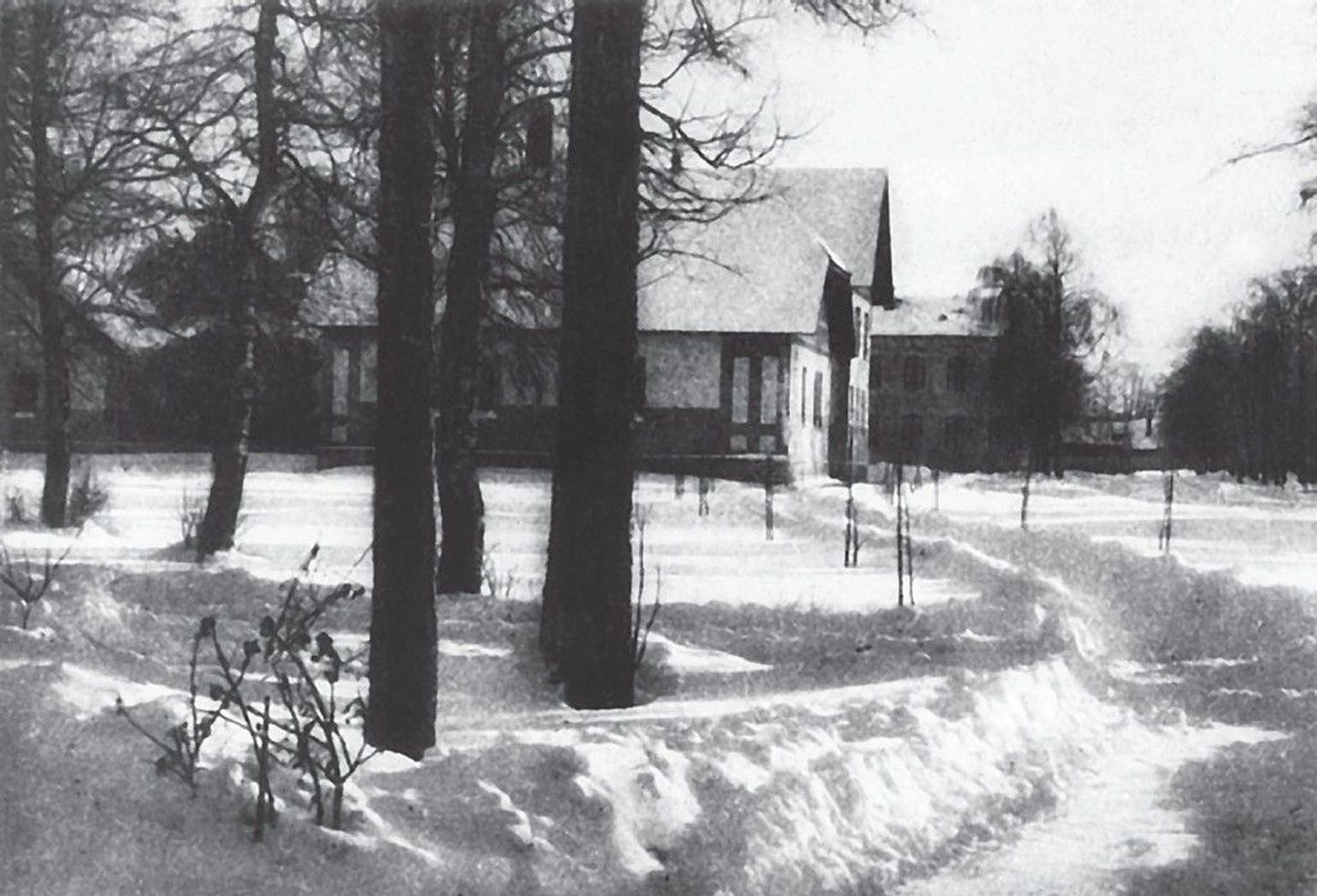 Seevaldi haigla 1915. aasta talvel. Mõni aasta hiljem peeti Seevaldi-tagustes männitukkades sõjakooli õppelahinguid.
