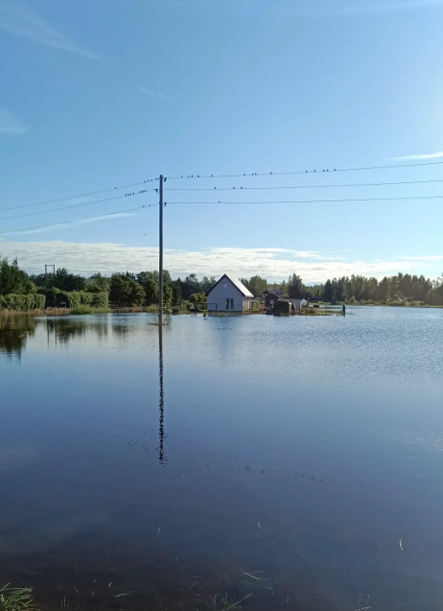 Raksta foto
