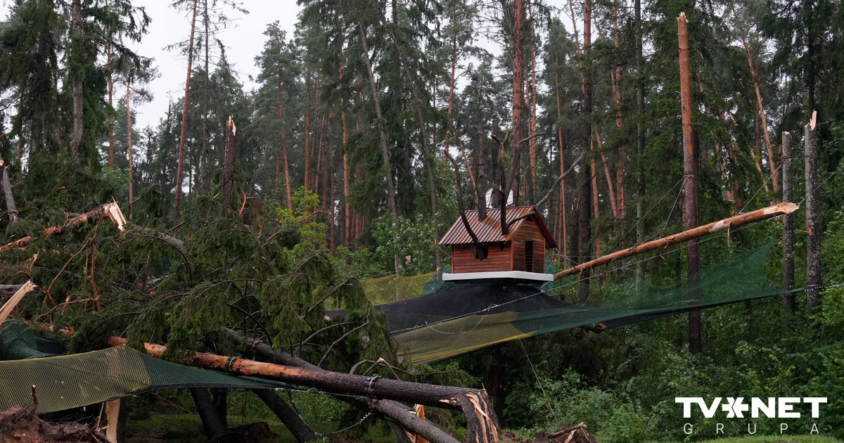 ГЛАВНОЕ ЗА 8 АВГУСТА Последствия бури, что делать несдавшим латышский ...
