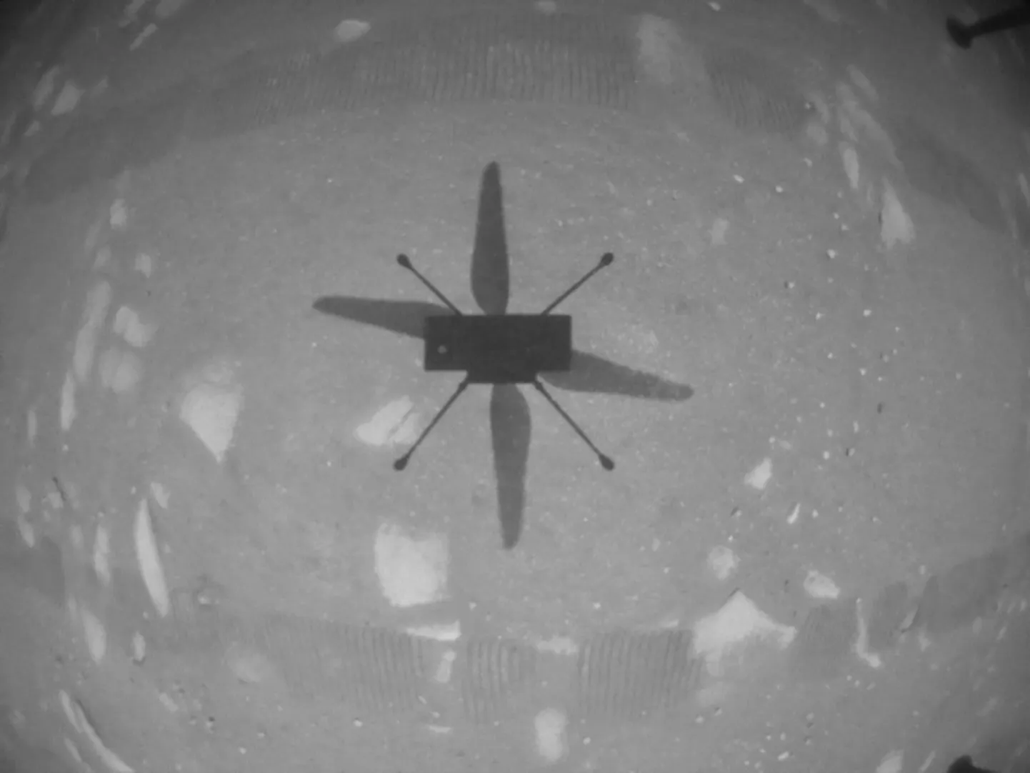 "Ingenuity" helikopters.