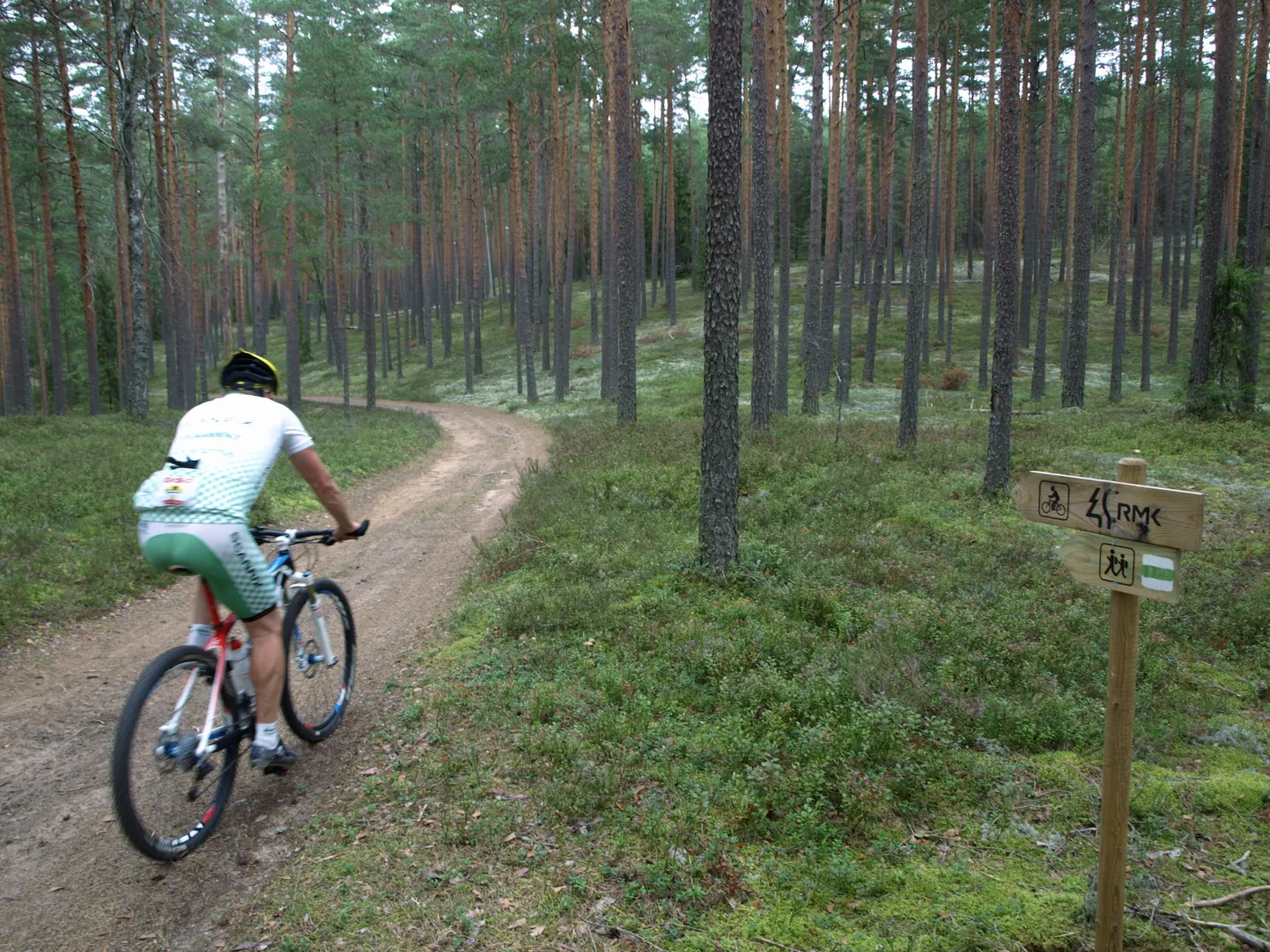 Aegviidu-Ähijärve matkatee. Pildil matkarada Karula rahvuspargis.