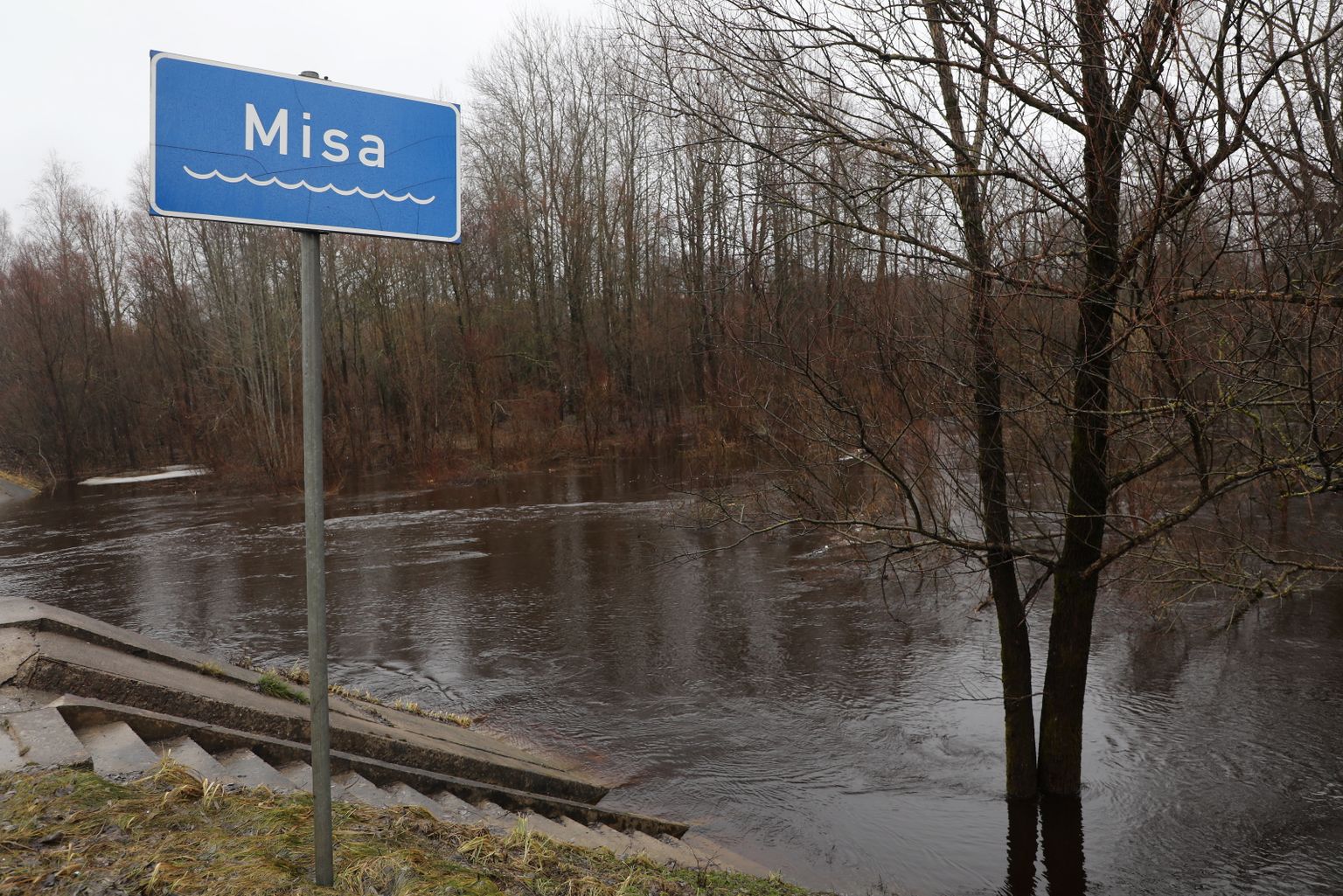 Во время весеннего половодья река Миса вышла из берегов, затопив большие территории в Кекавском крае.