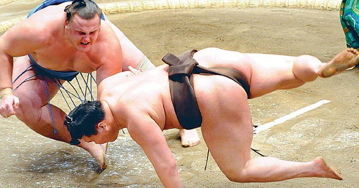 Порно видео очень жесткий секс бегущие спортсмены и борцы сумо смотреть онлайн бесплатно