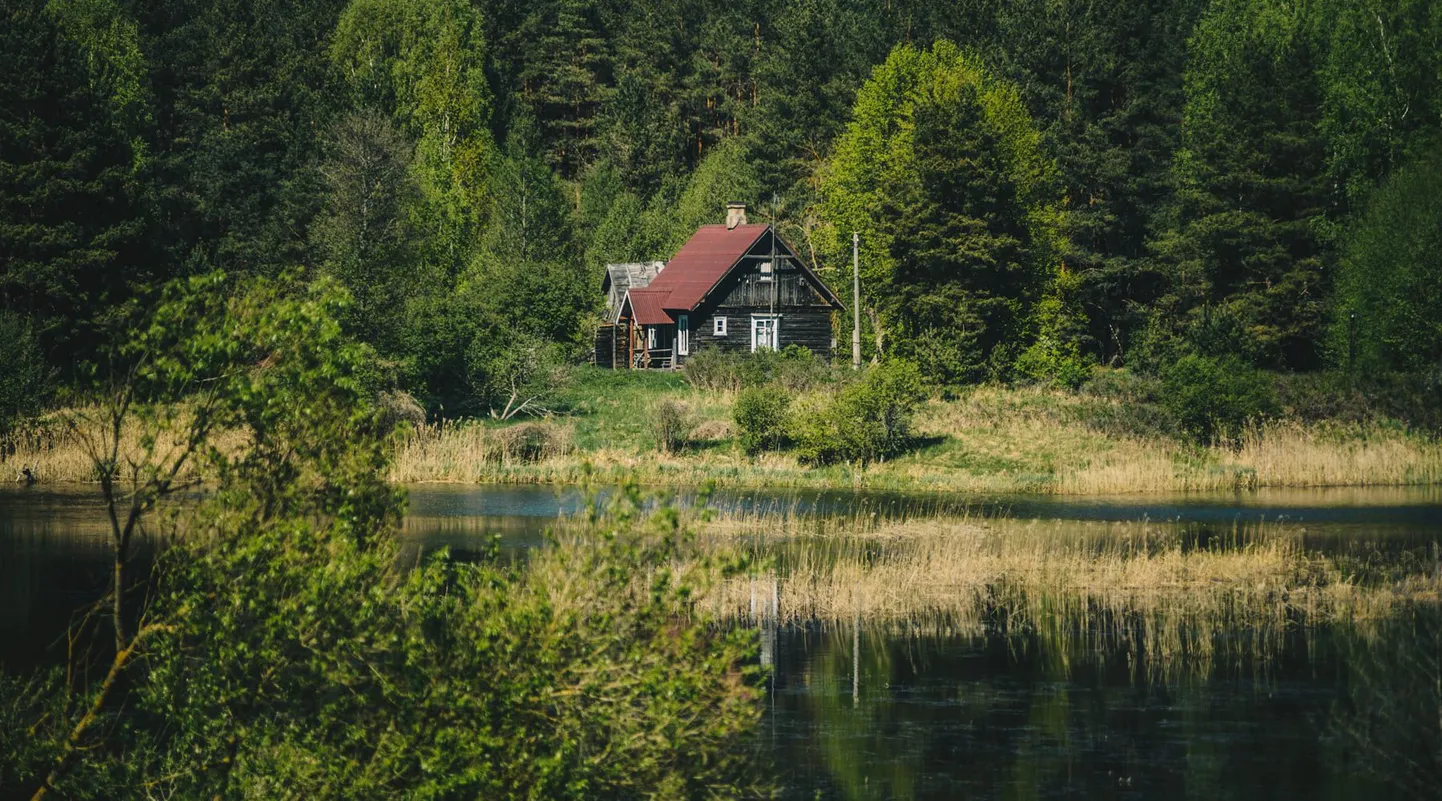Фото статьи