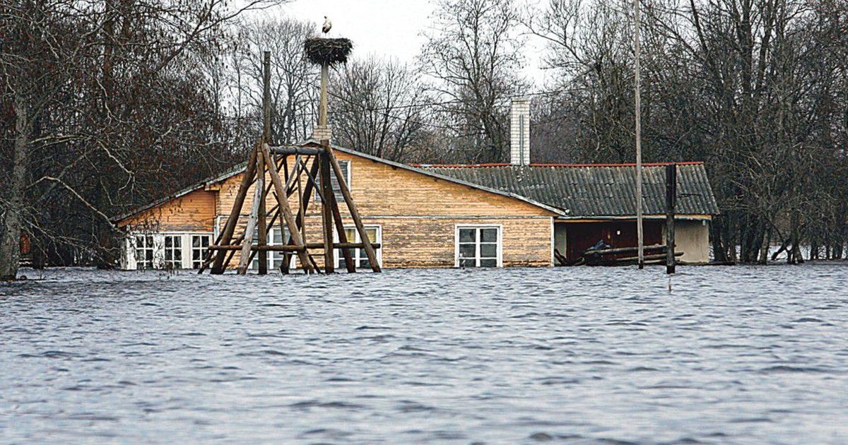 Разбух стол от воды