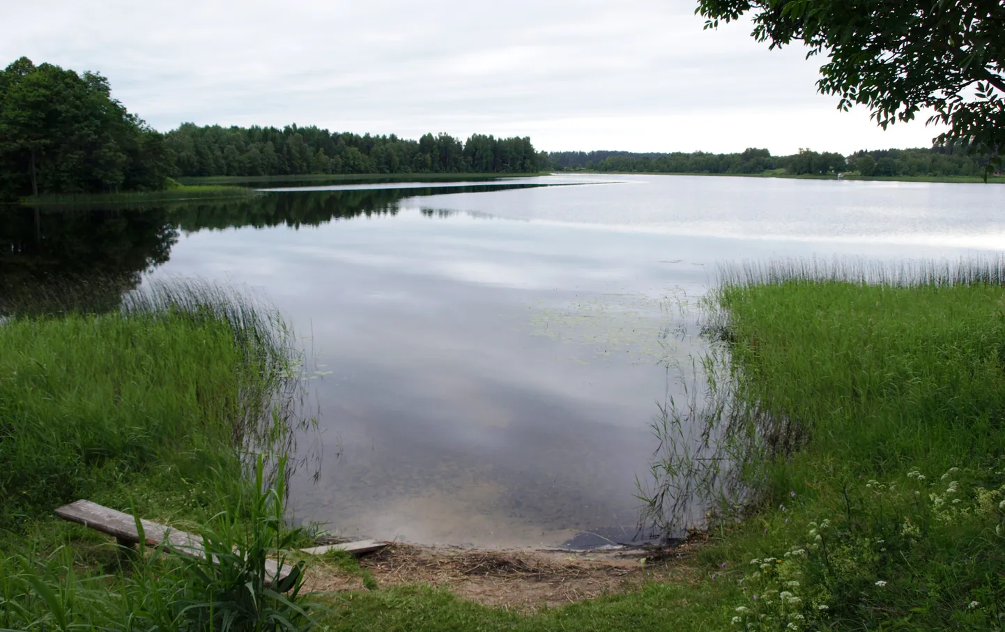 Suurjärv