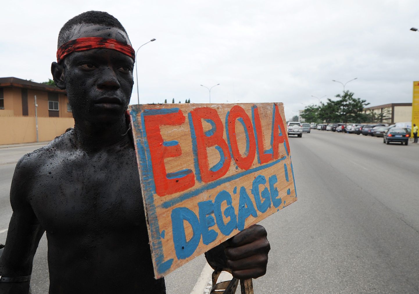 Вспышка лихорадки была зафиксирована в феврале 2014 года в Гвинее, затем вирус распространился на Сьерра-Леоне, Либерию, Нигерию, Демократическую Республику Конго и Сенегал.