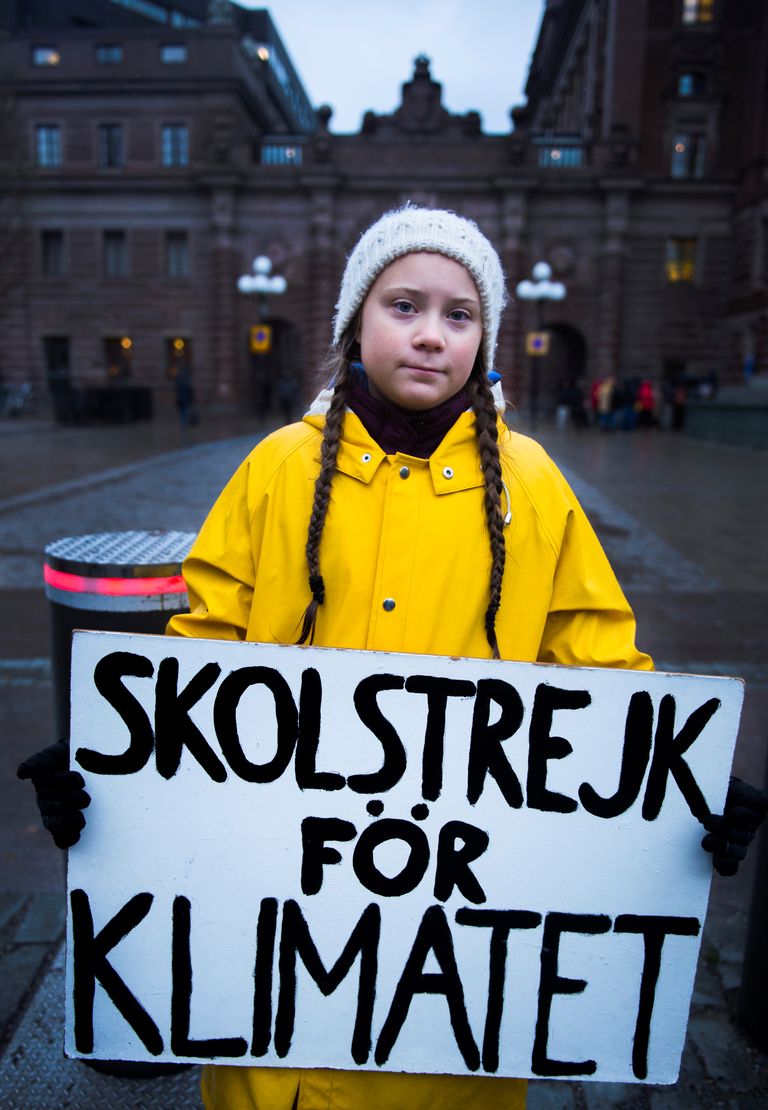 Greta Thunberg novembris 2018 kliimastreigil Stockholmis parlamendihoone juures