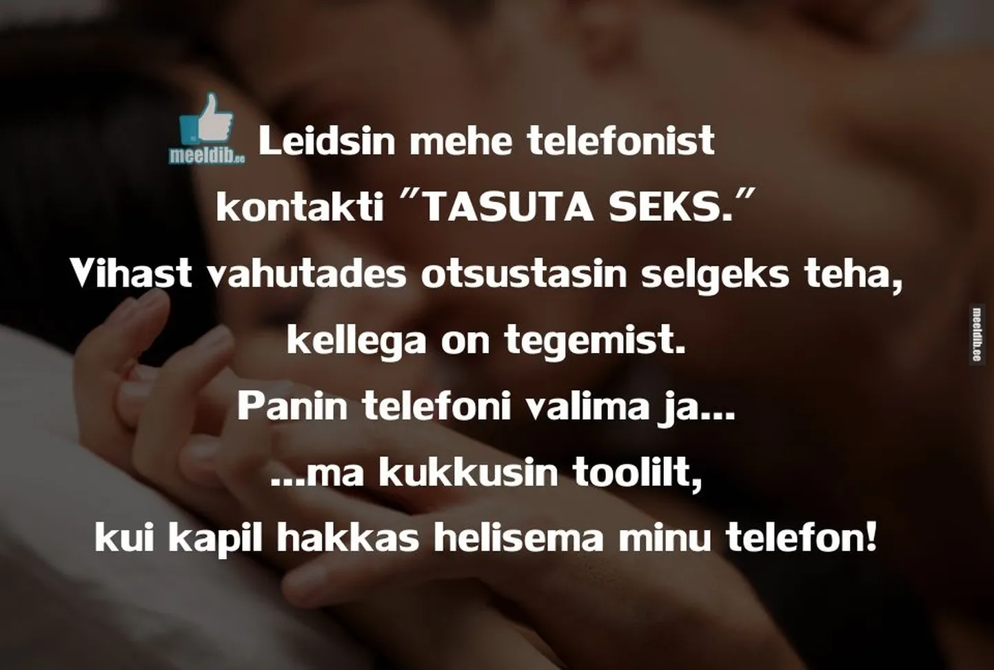 Artikli foto