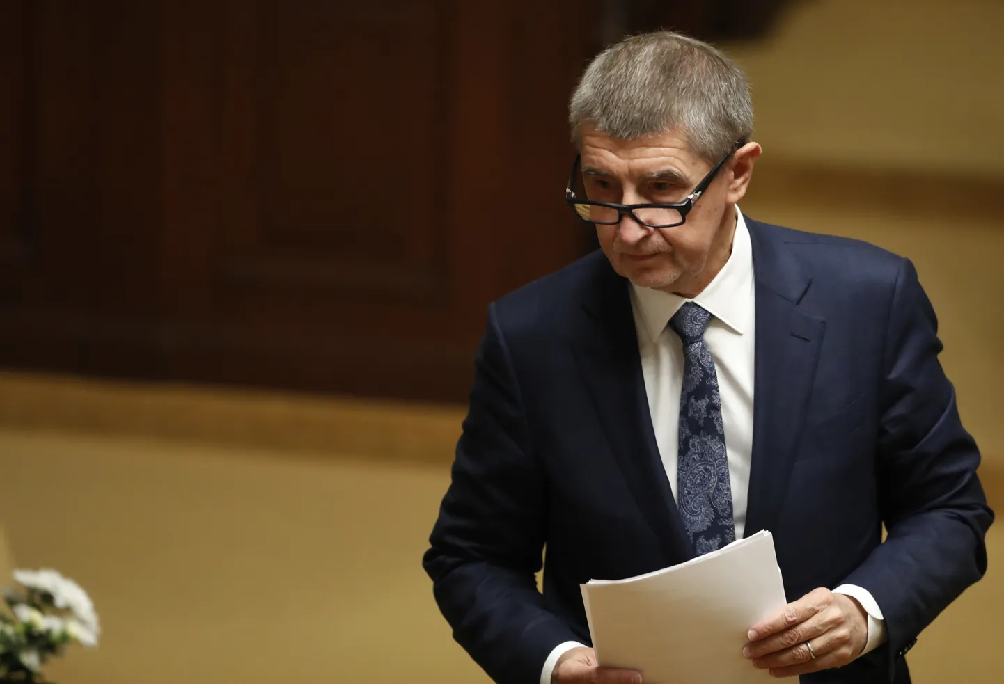 Andrej Babiš.