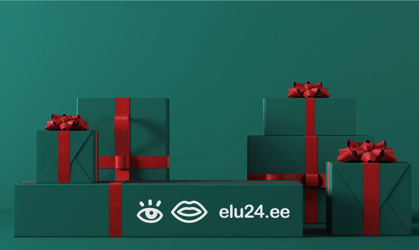 Elu24 jõulukingitus