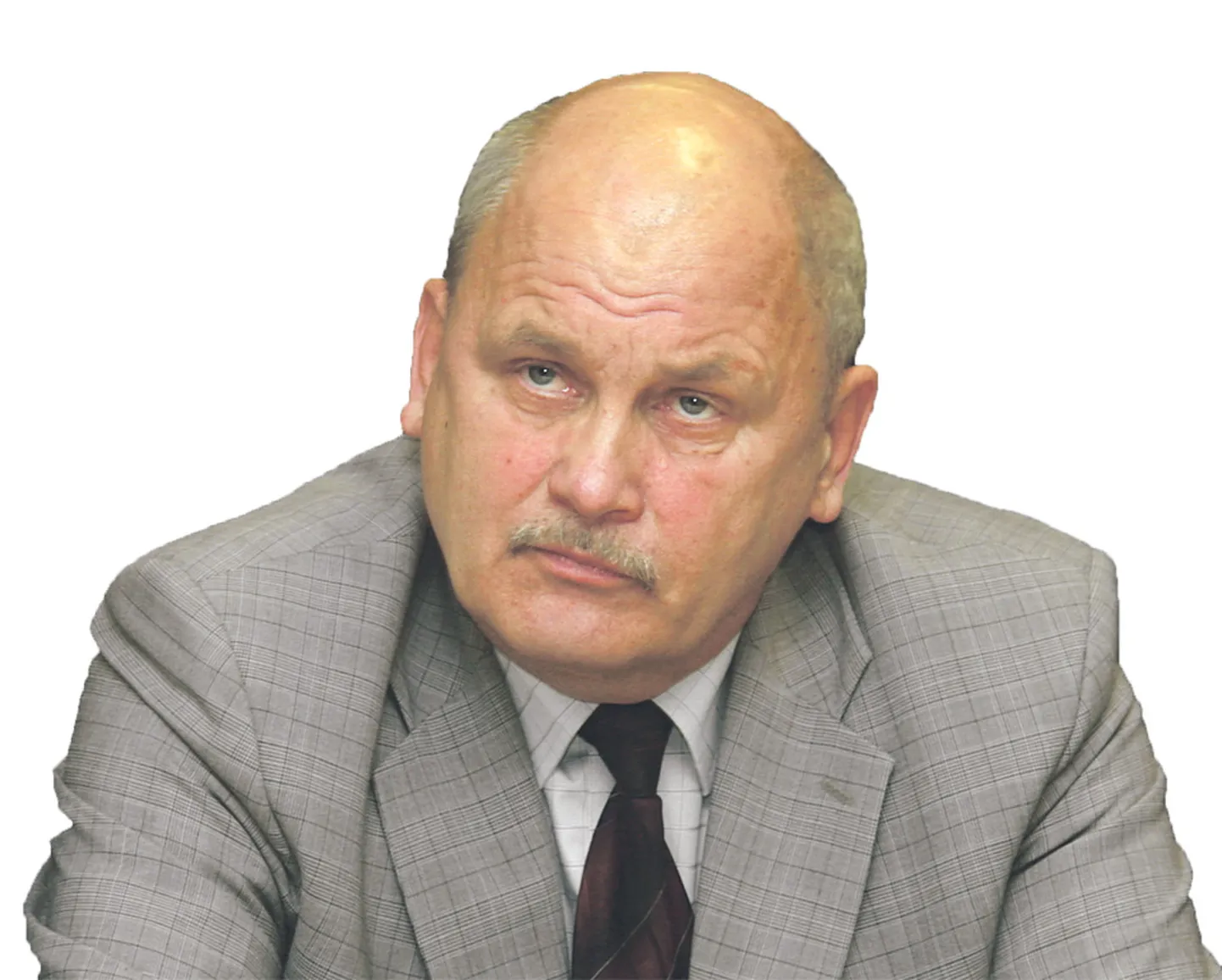 Kaarel Pürg, Ida-Virumaa pensionäride ühenduse juhatuse esimees