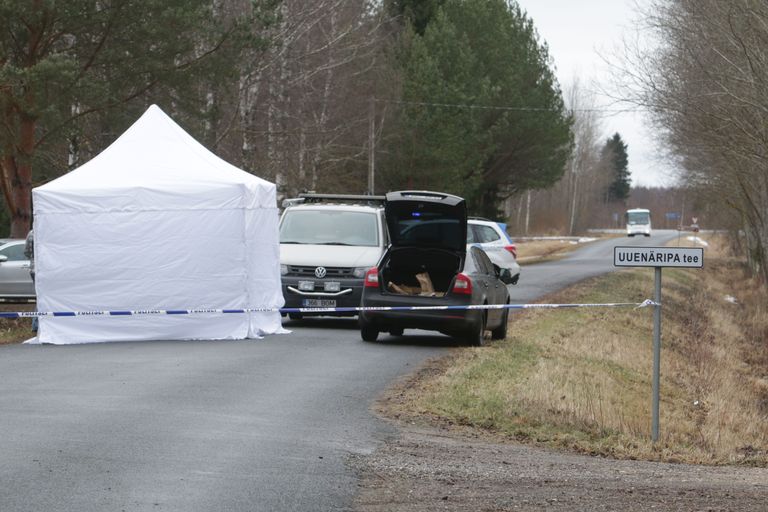 Röövitud taksojuhti surnukeha leiti Sauga vallast Pulli külast Tori-Rütavere tee äärest. Foto: