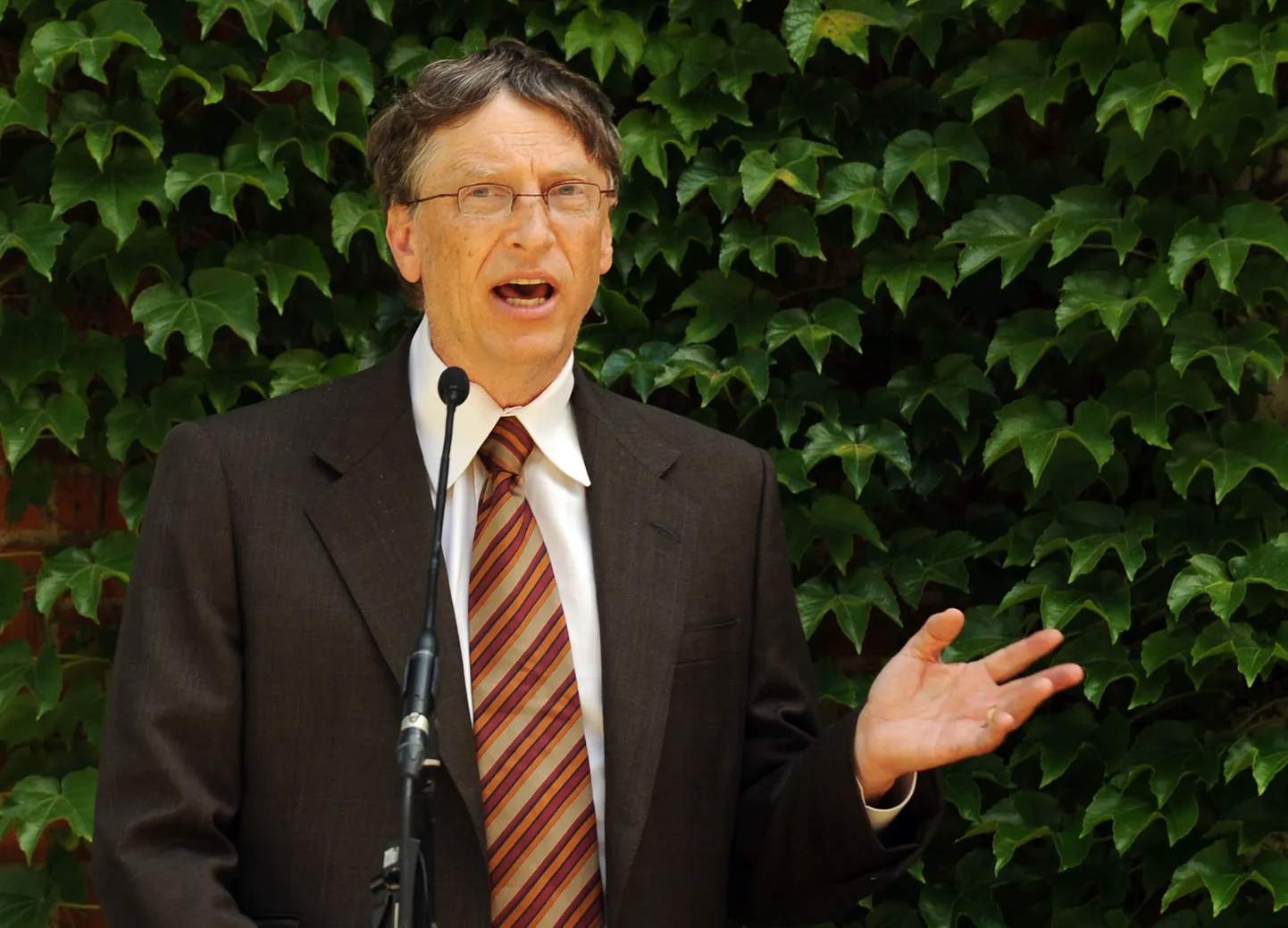 Bill Gates