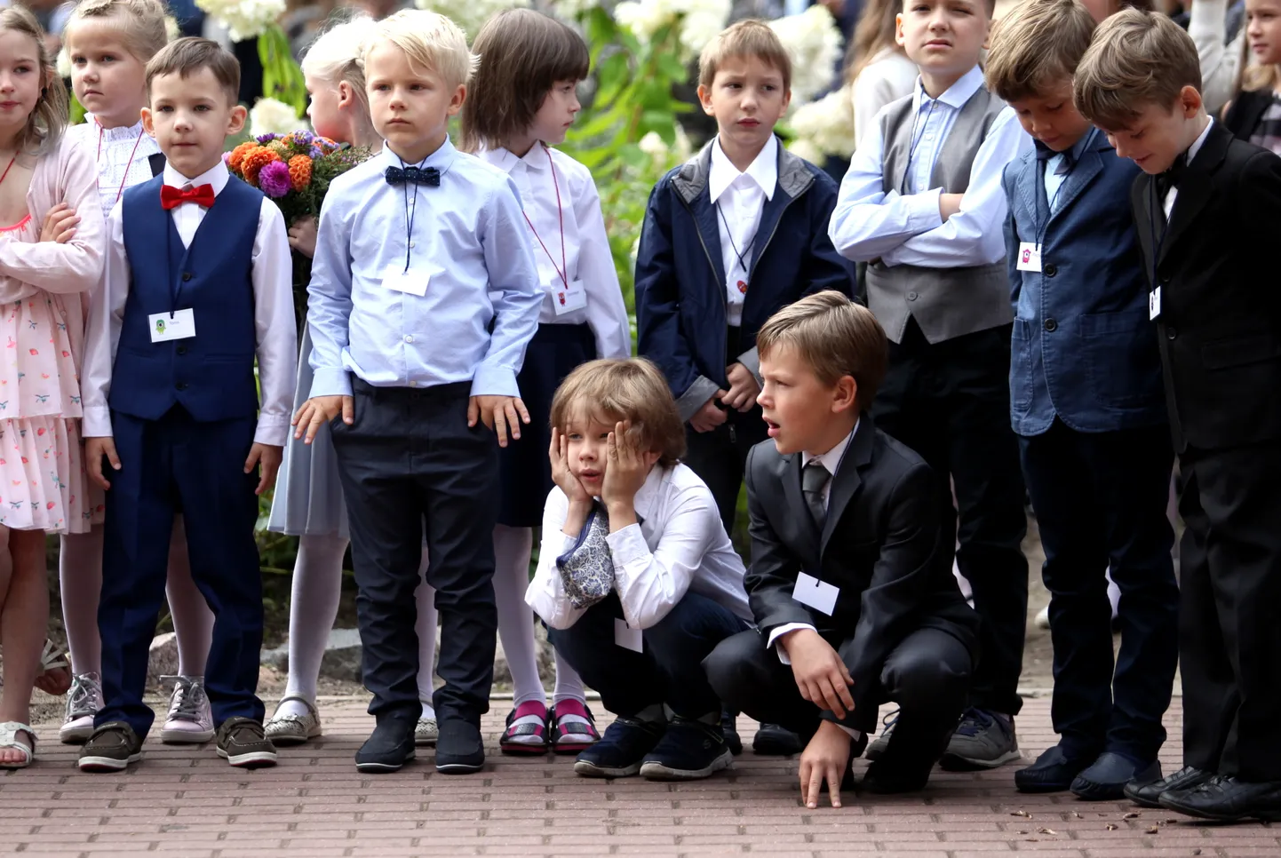 Фото статьи