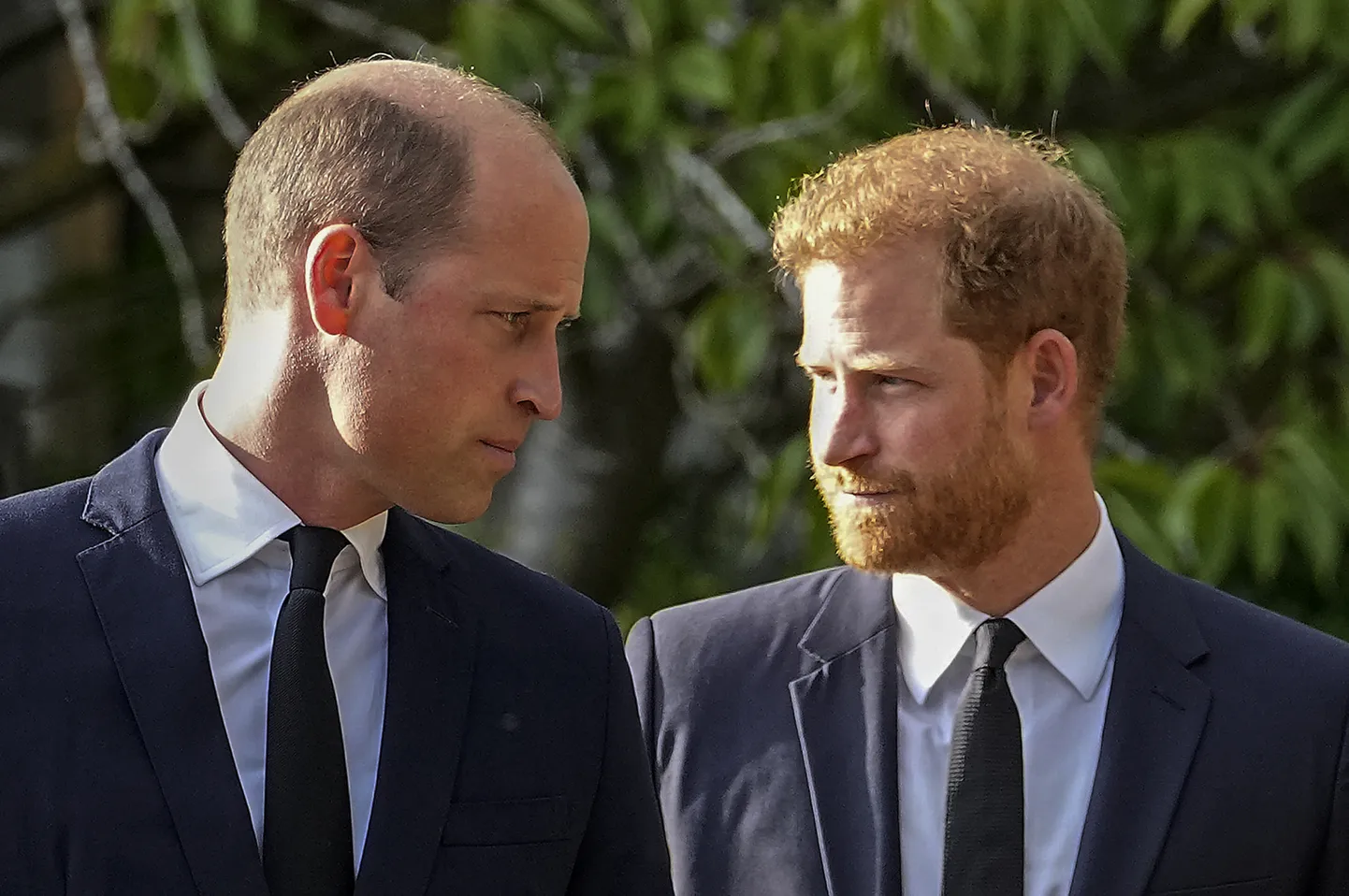 Briti printsid William (vasakul) ja Harry 10. septembril 2022 Windsori lossi aias, kus toimus nende vanaema, kuninganna Elizabeth II mälestamine. Briti kuninganna Elizabeth II suri 8. septembril 2022 Šotimaal Balmorali lossis.