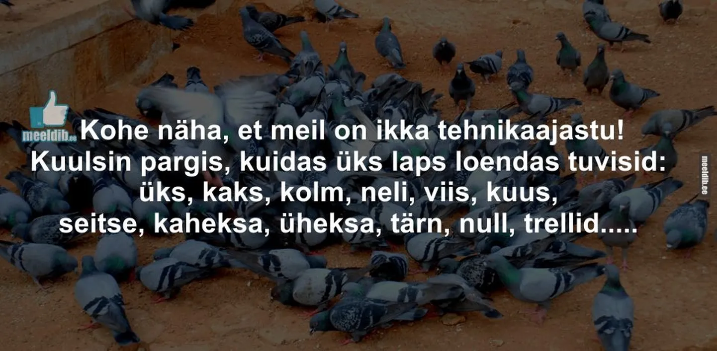 Artikli foto