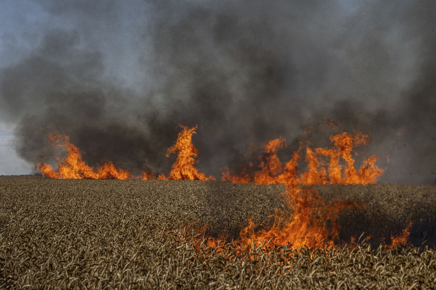 Аграрные области Украины подвергаются ракетным обстрелам, в которых гибнут люди и урожай (AP Photo/Evgeniy Maloletka)