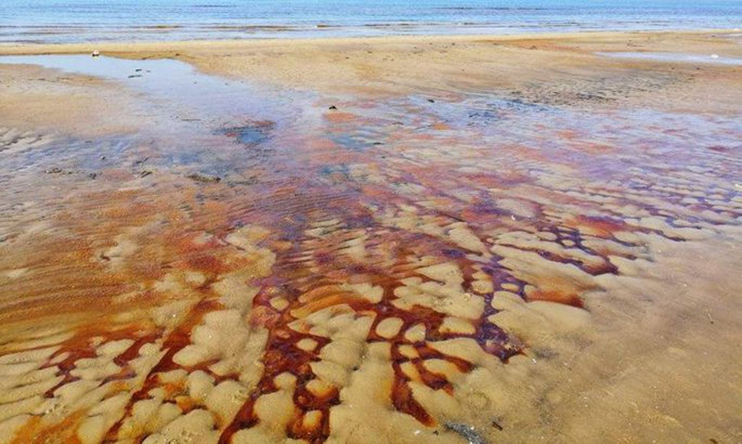 На нарва-йыэсууском пляже вода временно стала коричневатой в результате природных процессов.