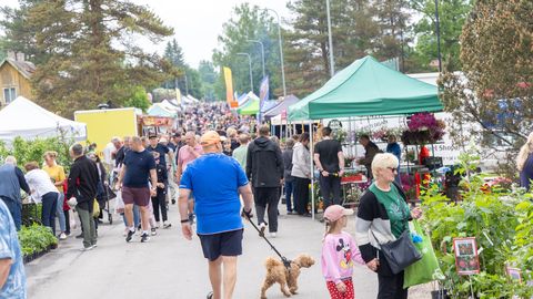 Järva valla rändesaldo püsib miinuses