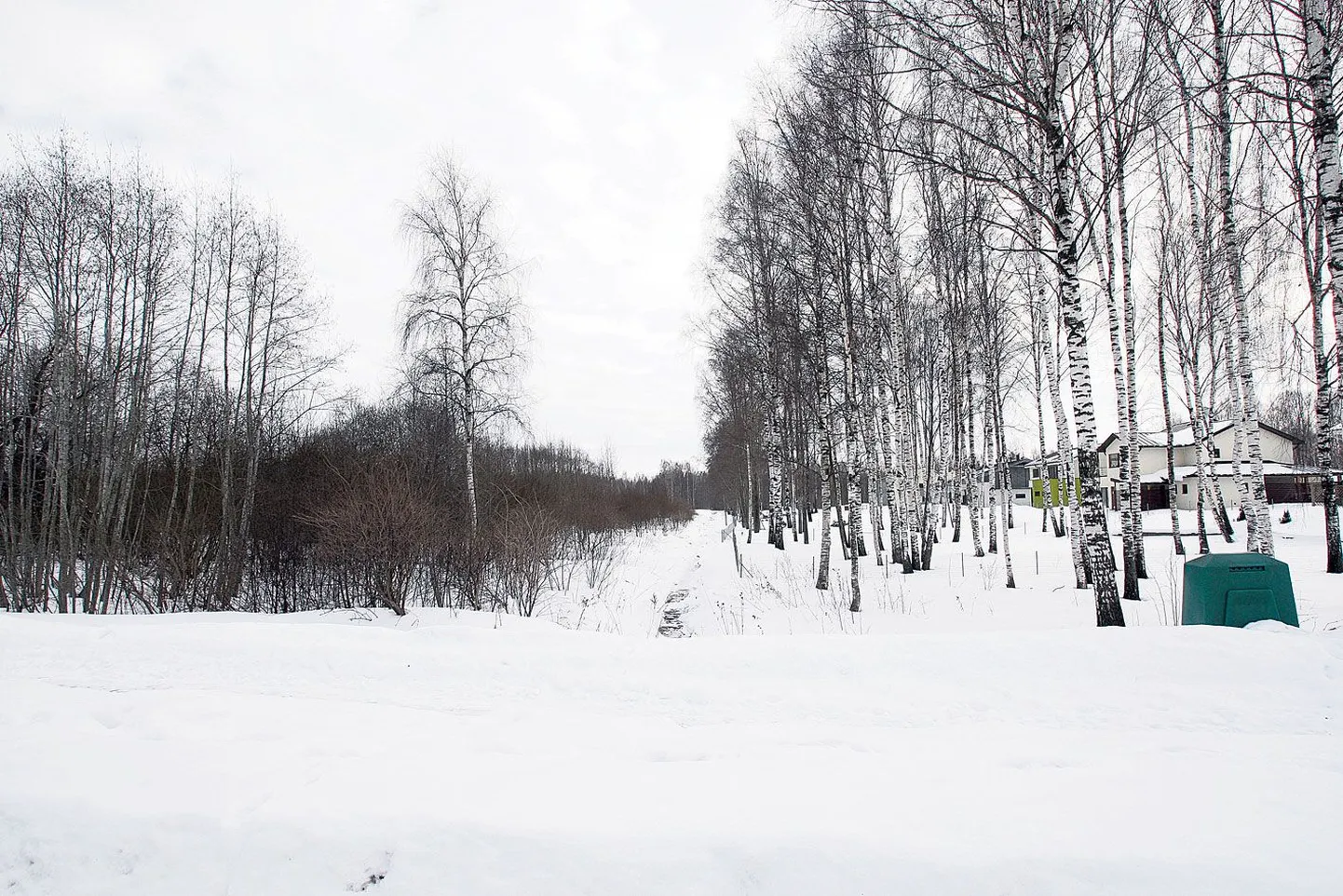 Oksjonile läinud 34 hektarit elamumaad, kus praegu laiutab võsa, piirneb Kvissentali elurajooniga (pildil paremal) ja ulatub peaaegu Aruküla teeni.