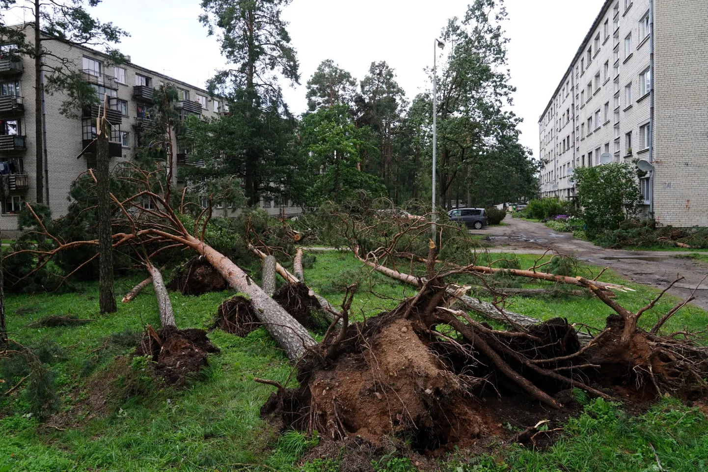 Vētras postījumi Dobeles novada Gardenē (2023.gadā)