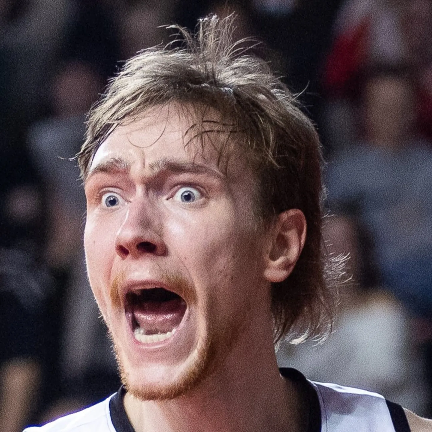 Sander Raieste