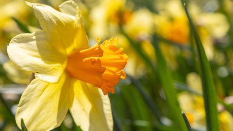 ILM ⟩ Kas suvi tuleb soe ja vihmane?