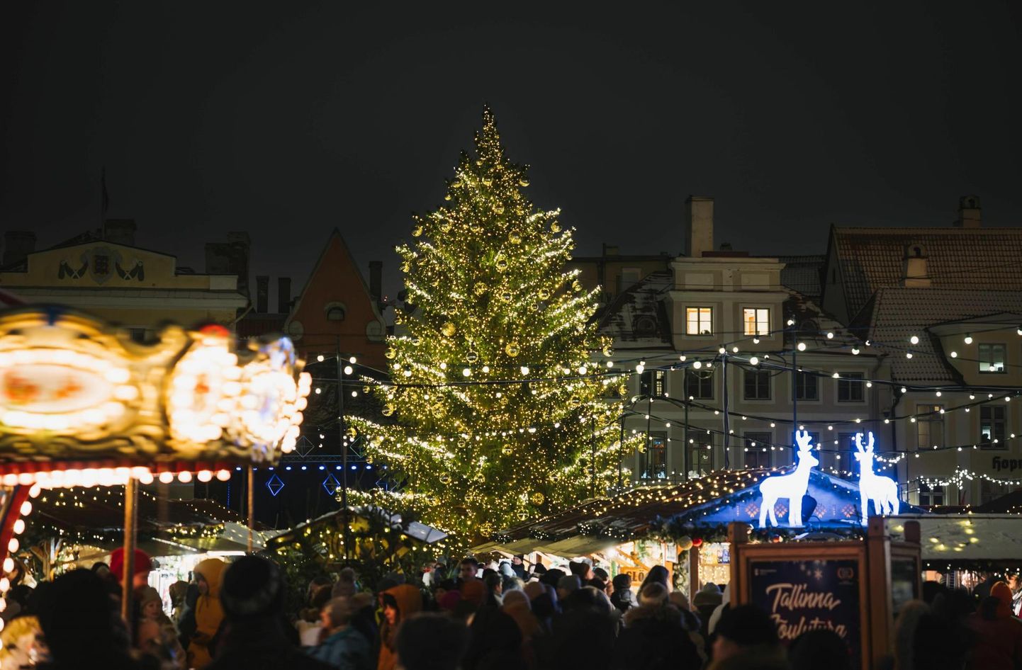 Tallinna jõulupuu.
