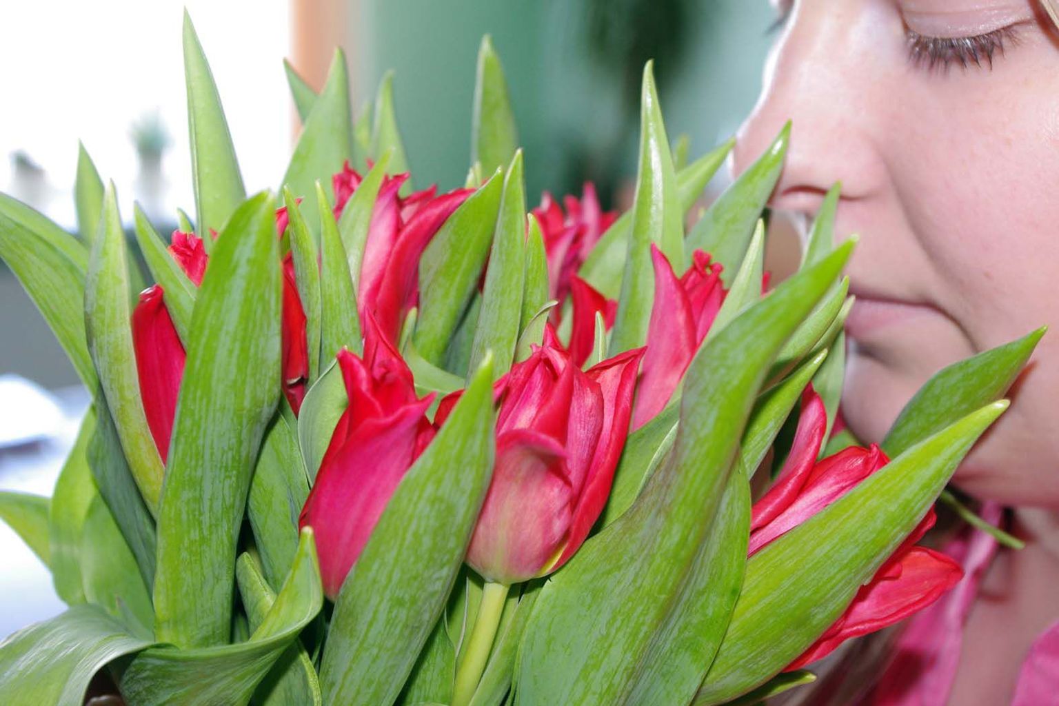 Tulbid on naistepäeva üks populaarsemaid lillesorte, mida ostetakse.