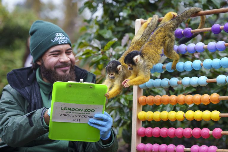 Londoni loomaaias toimus iga-aastane loendus. Loomaaia talitaja Andrew Dixon loeb sel fotol üle oravahvid.