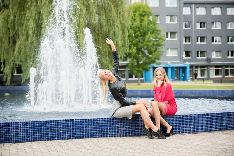 Raksta foto