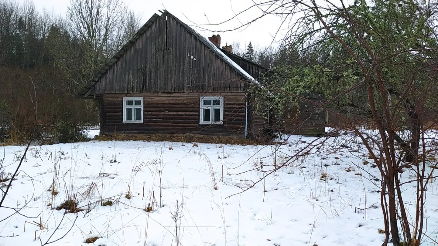 Raksta foto