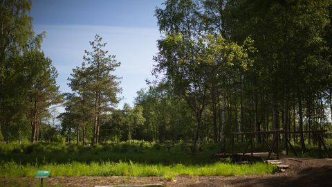 Ülejõe pargiala vajab häid mõtteid