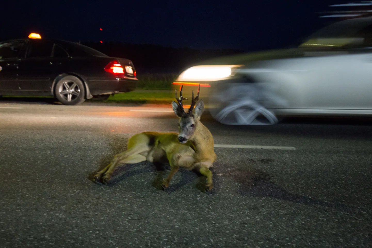 Autolt löögi saanud sokk.