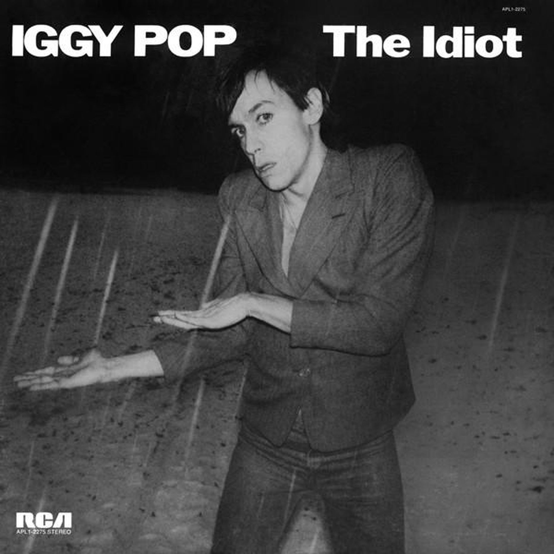 Iggy Pop, «The Idiot».