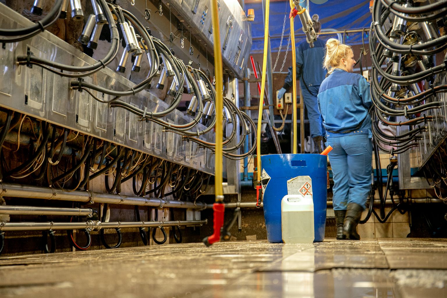Kui 2016. aastast on piima kokkuostukogus pidevalt tõusnud, siis kokkuostuhind püsis pikalt madalal. 2020. aasta mais langes see isegi alla 300 euro tonni eest ja püsis sellisena möödunud aasta veebruarini.