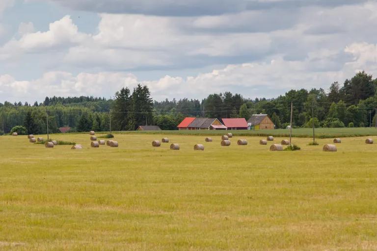 Vaade Valgamaal asuvale Iigaste külale.