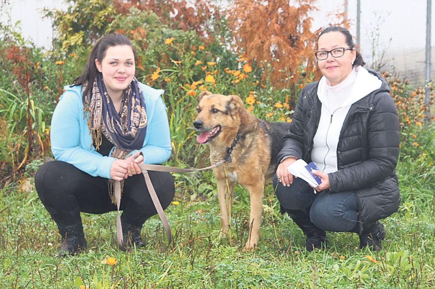 Kaheksa aastat Pärnu kodutute loomade varjupaigas elanud Sämmi mõni minut enne varjupaigast lahkumist koos oma uute omanike Sonja (vasakul) ja Annega.