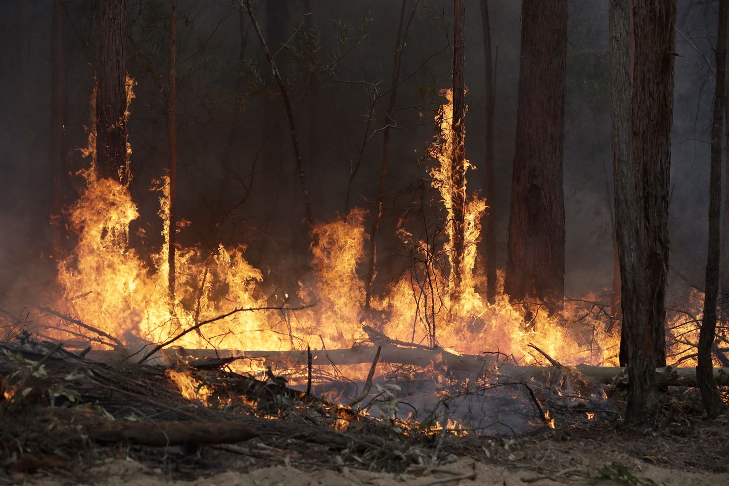 Пожар в Австралии.