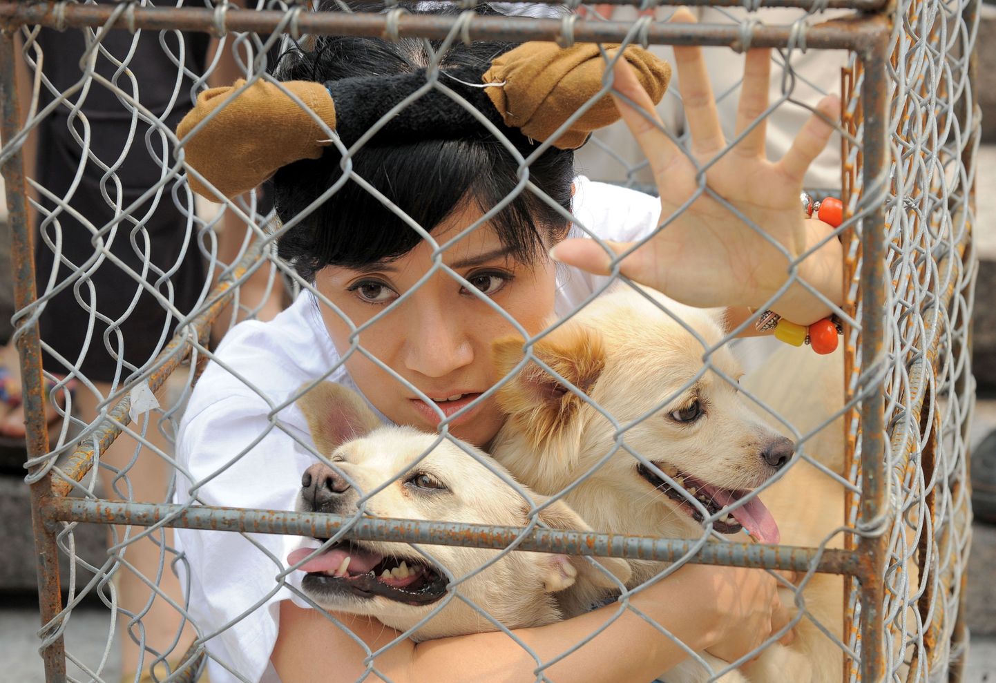 Lõuna-Korea loomakaitseaktivist koerasöömise vastu protesteerimas.