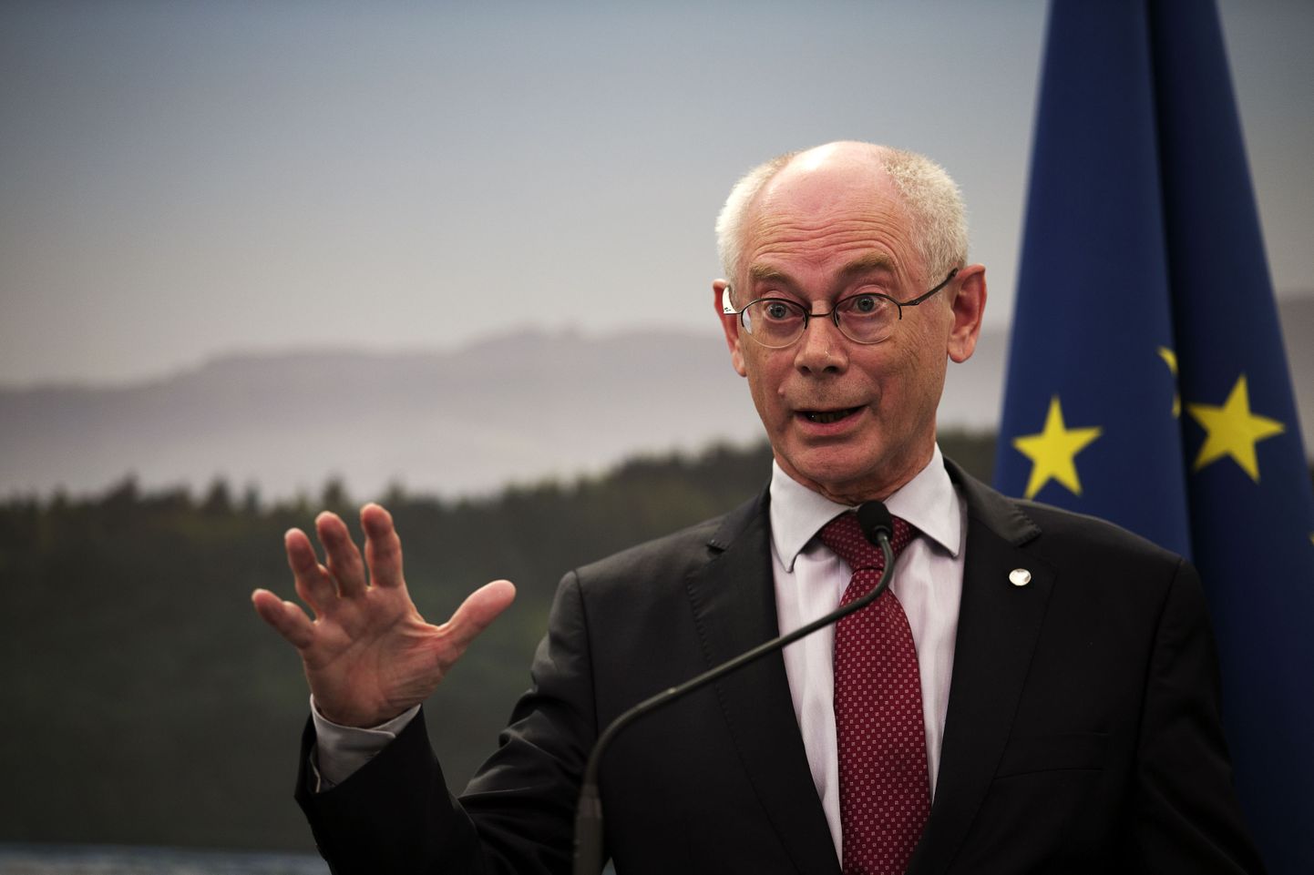 Herman Van Rompuy Euroopa Ülemkogu presidendina 2013. aastal.