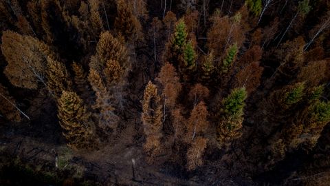 Päästjad hoiatavad: metsades on jätkuvalt väga suur tuleoht