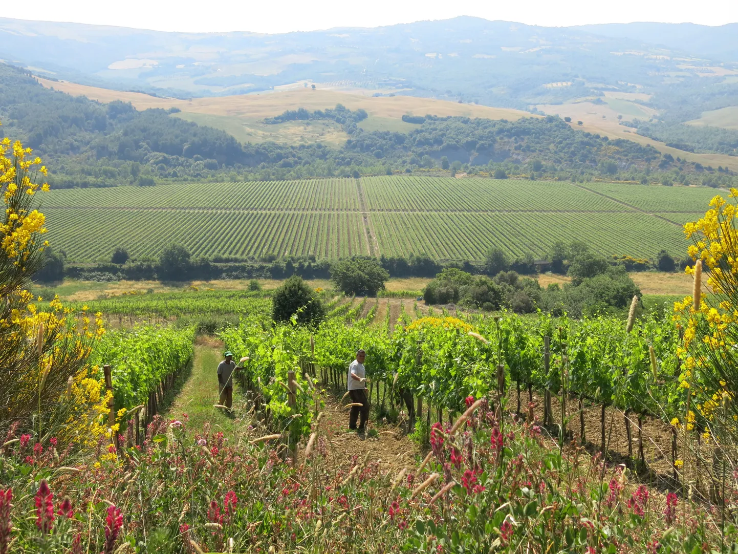 Toscana, pilt illustratiivne
