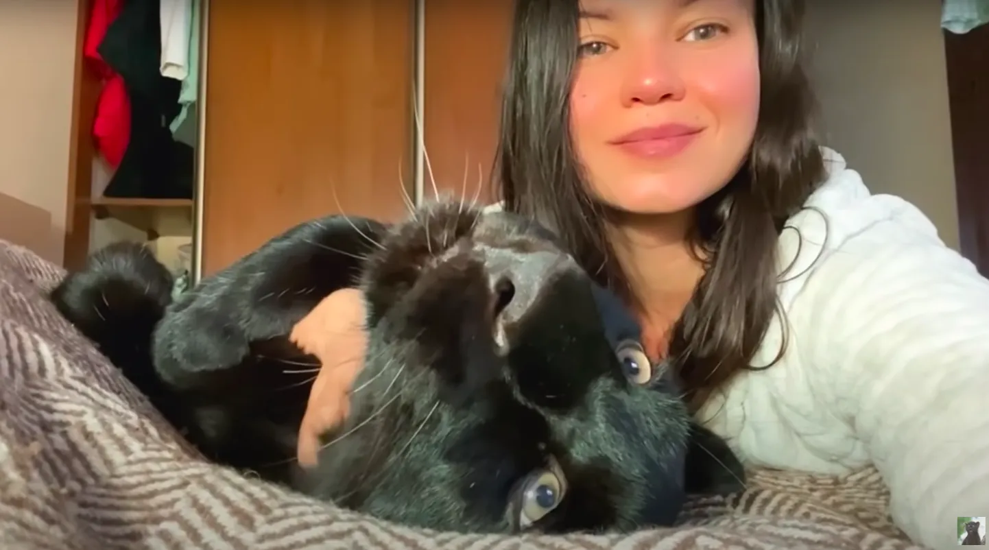 Panter Luna ja tema perenaine.