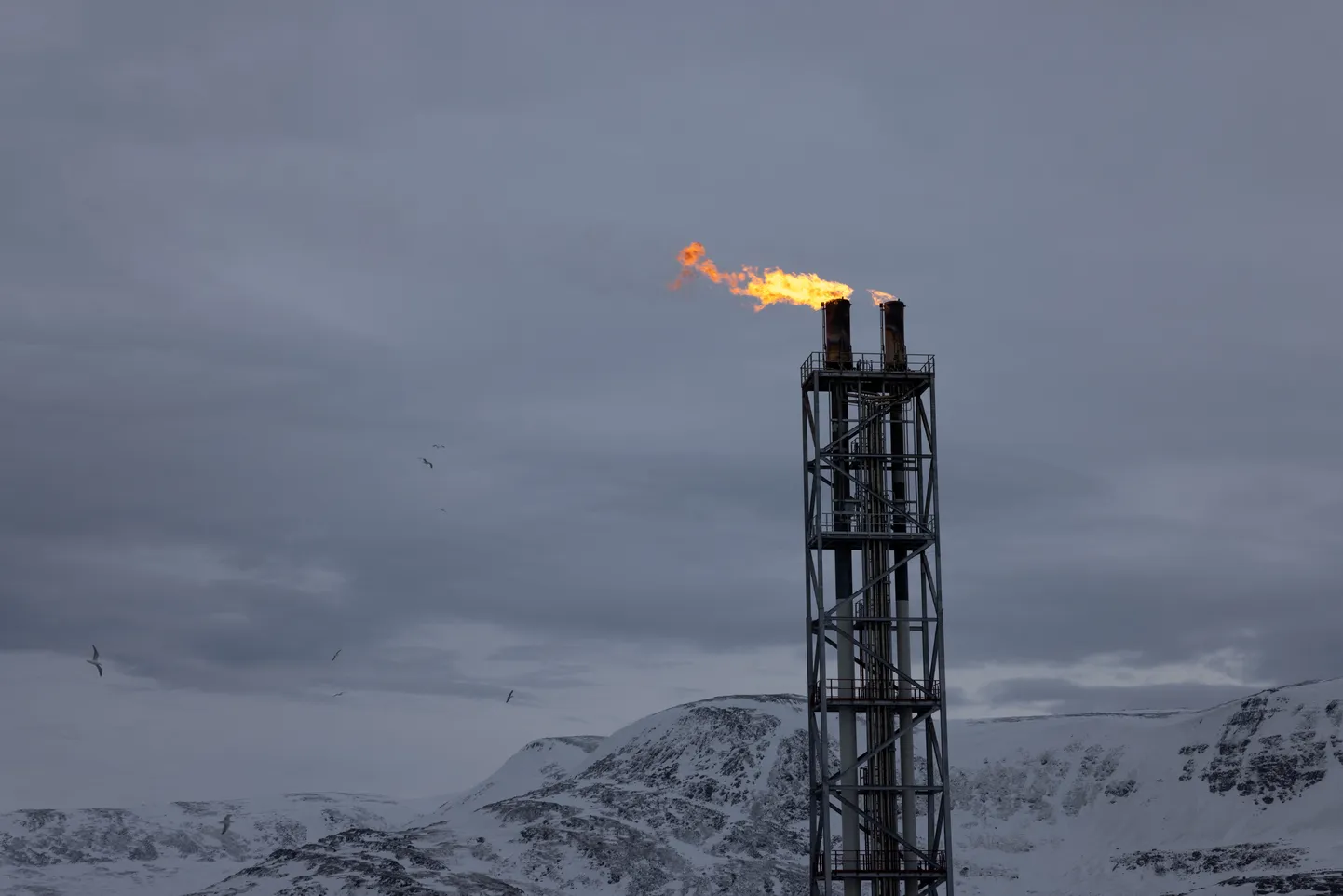 Норвежское предприятие по производству сжиженного природного газа. Иллюстративное фото.