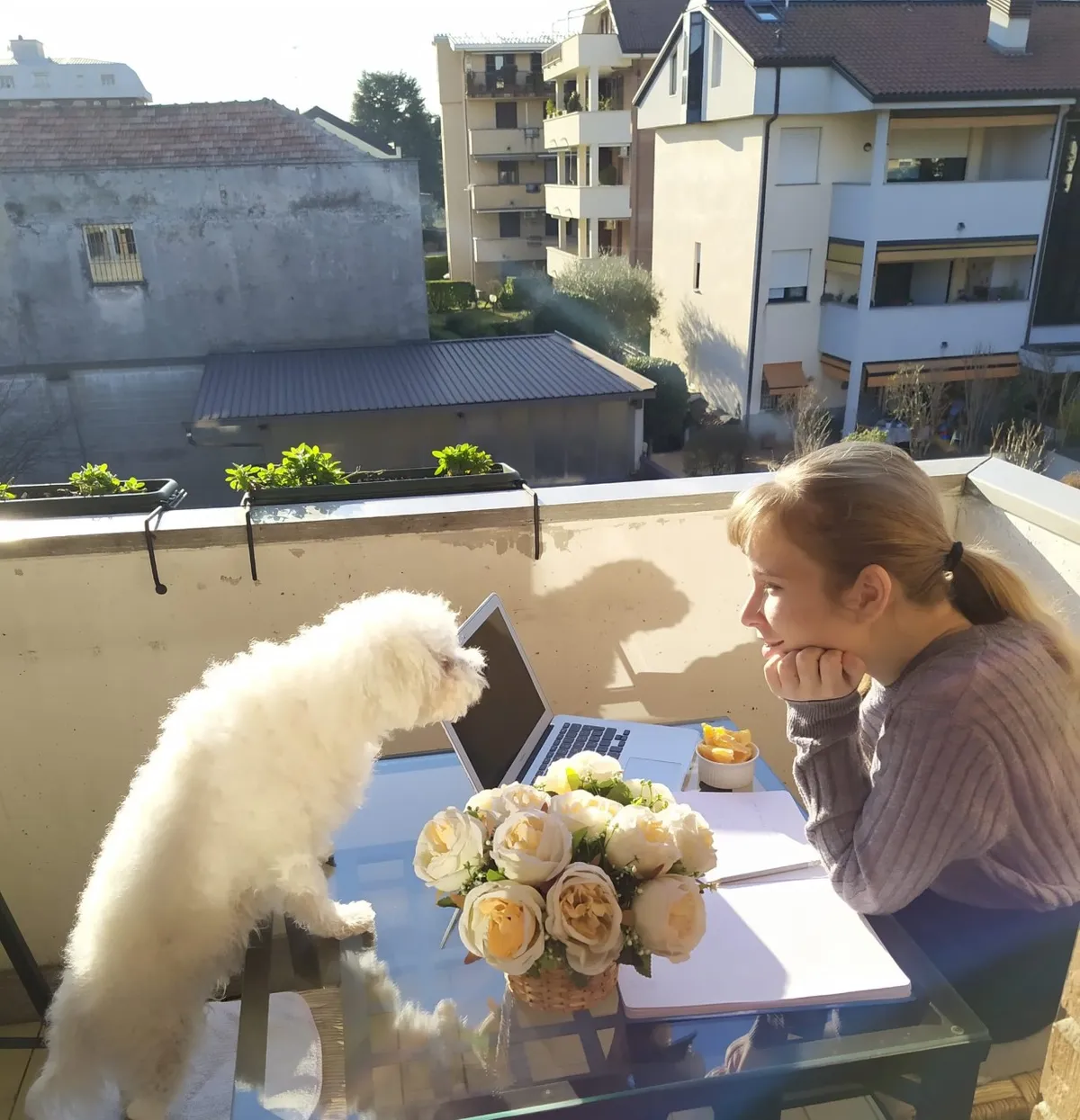 Meita un ģimenes mīlulis, veicot tālmācības