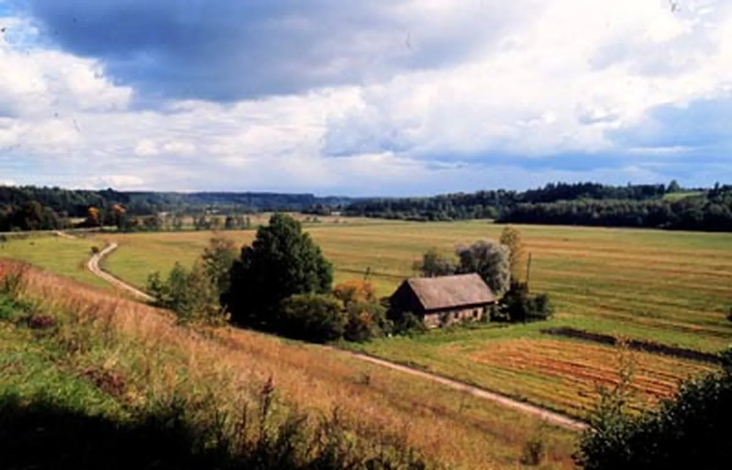 Raksta foto