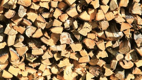 В ЕС выросло производство дров