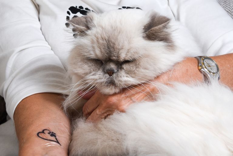 Pensionärist naine tegi enda käele sureva kassi auks tätoveeringu.